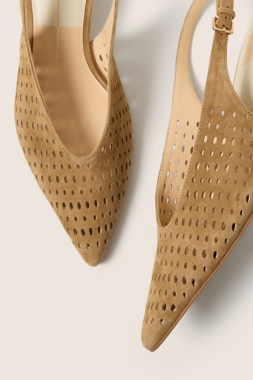 Alenna Heel - Image 2