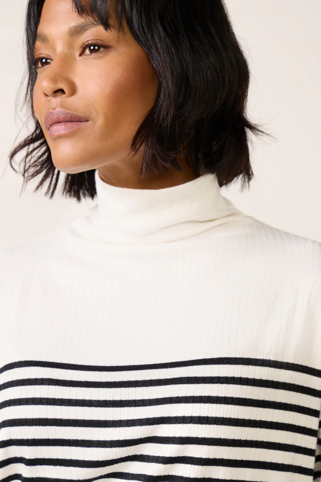 The Knit Rib Stripe Turtleneck - Image 3